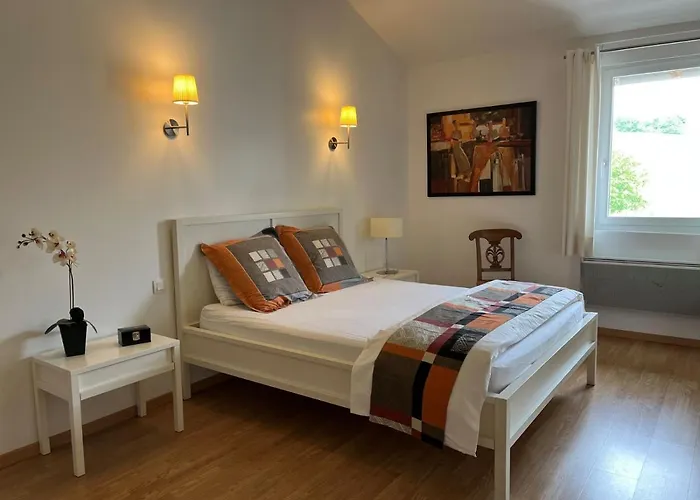 Les Terrasses Binel A Ronsac *